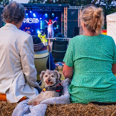 Dog-friendly Woofstock music festival celebrates it tenth year