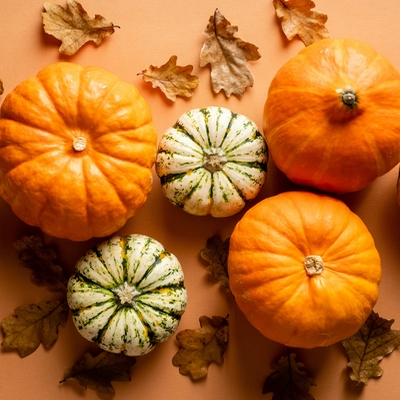 Wedding News: Bumper crops of pumpkins at National Trust gardens in Devon and Cornwall in time for Halloween
