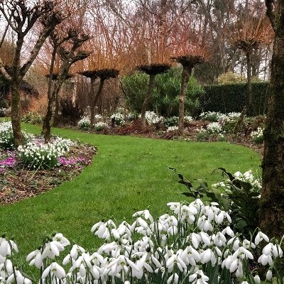 Gardens to visit in Devon this February half term