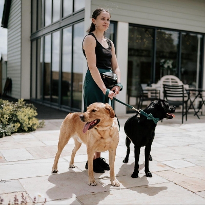 Why Wedding Dog Chaperones Are the Must-Have for Modern I Dos