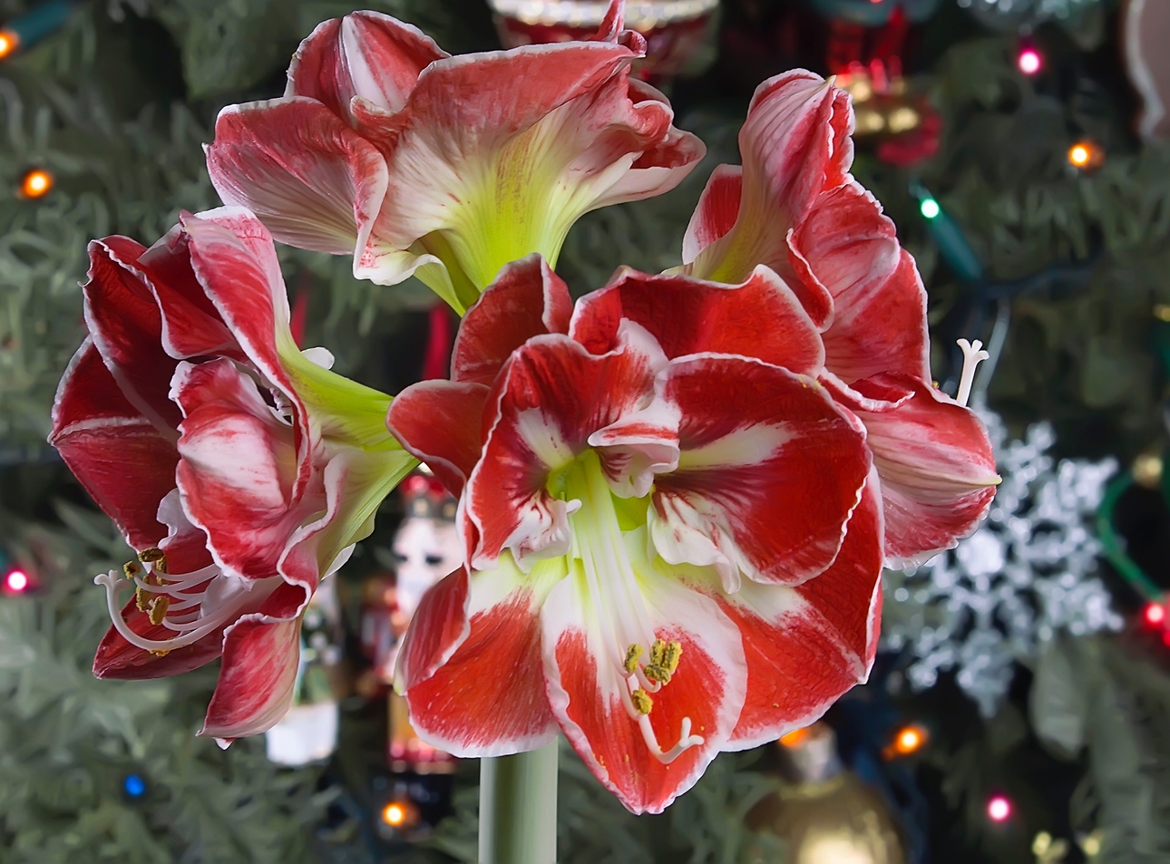 Angela James from Vintage & Bloom bespoke florist located in Penryn, Cornwall, unveils winter wedding ideas: Image 1