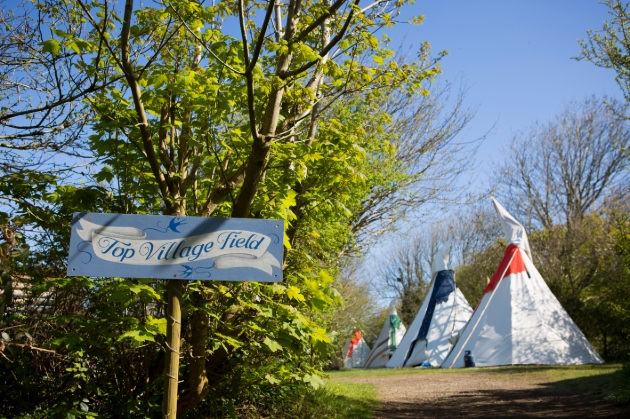 tipis in woodland