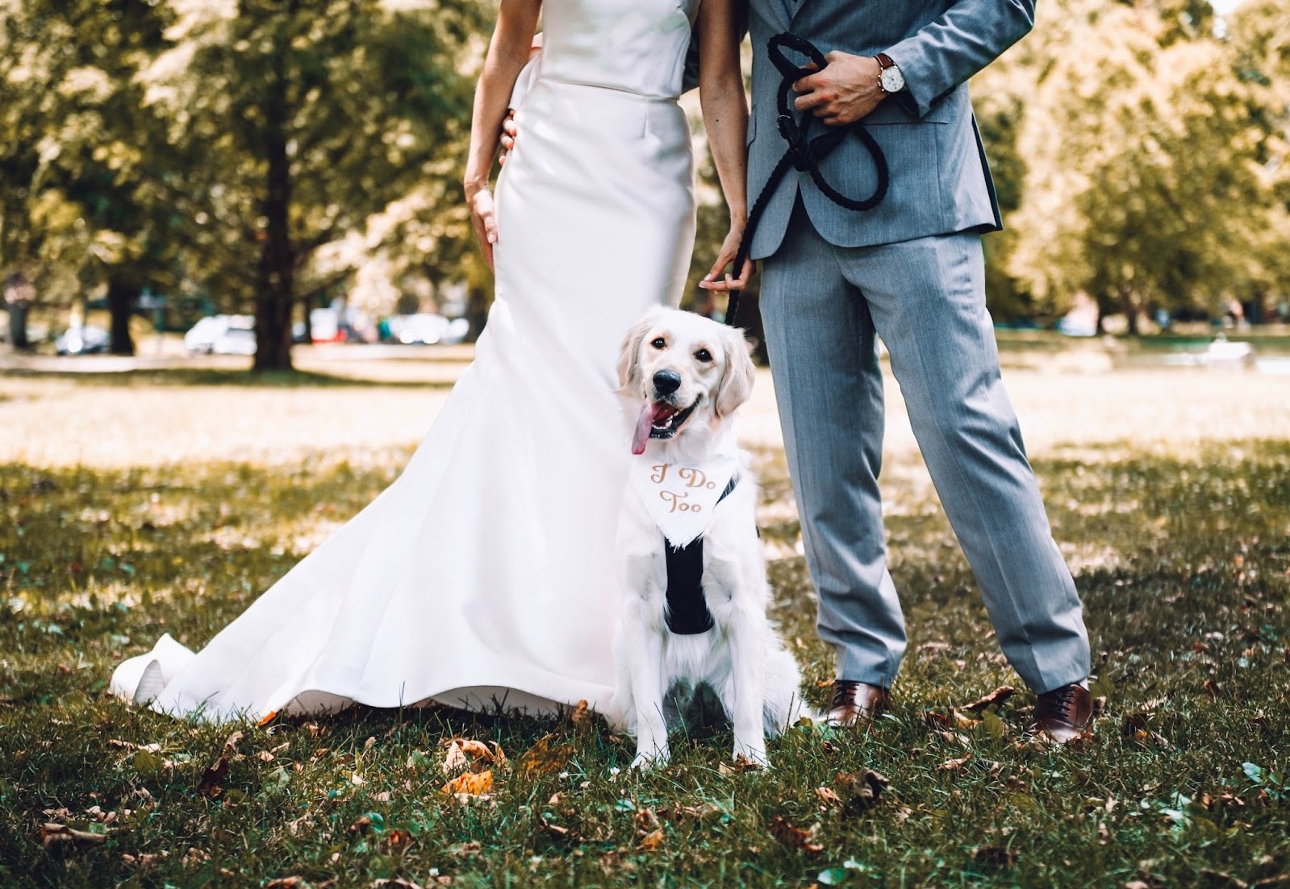 bride and groom holding a dog on lead on their wedding day 