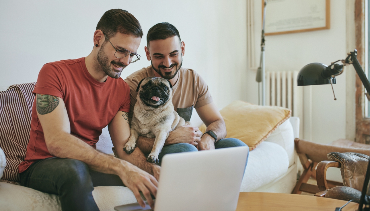 couple sat on sofa with their dog looking at lap top