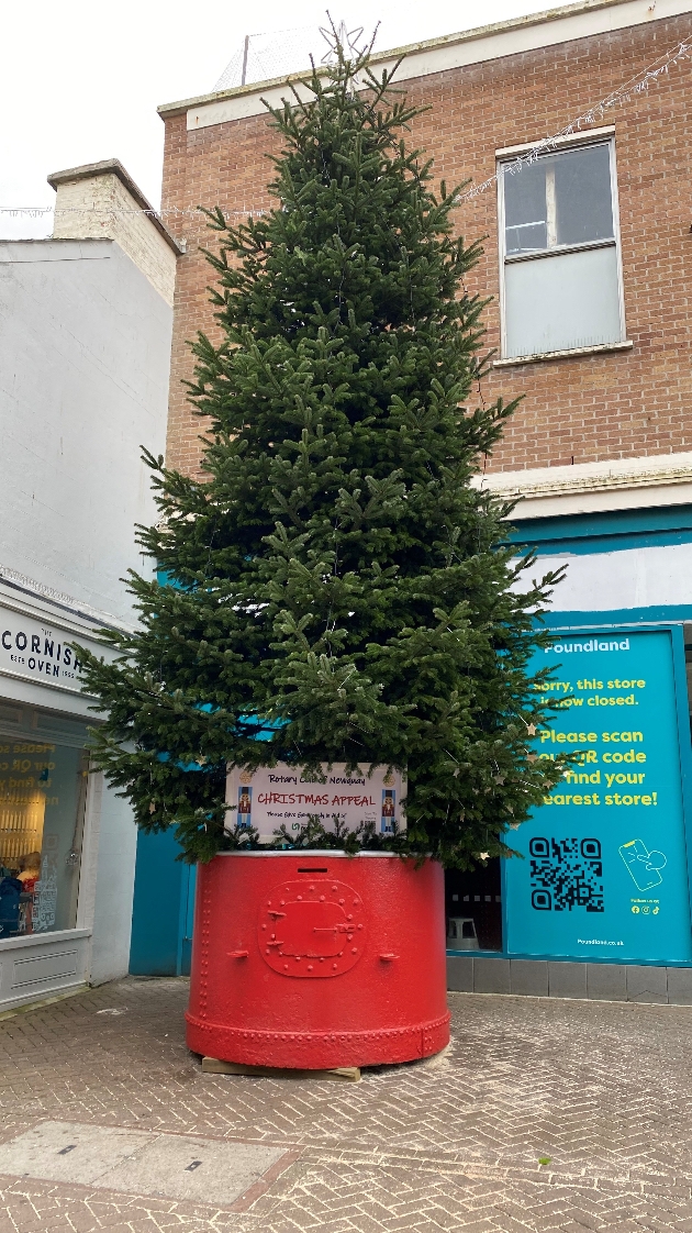 Newquay Rotary Club's annual Christmas tree
