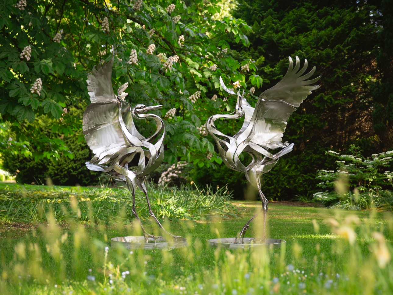 The grounds of South Devon’s Delamore Estate