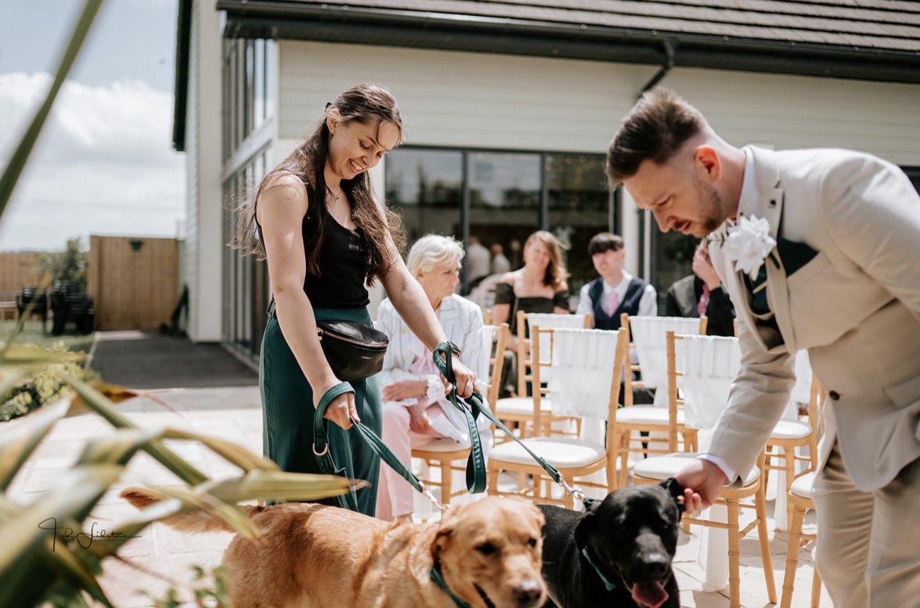 Wedding Dog Chaperone Hannah looking after two dogs