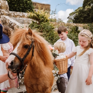 The Devon Champagne and Confetti Pony