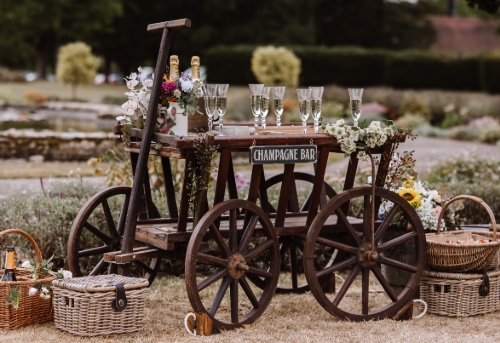 The Devon Champagne and Confetti Pony