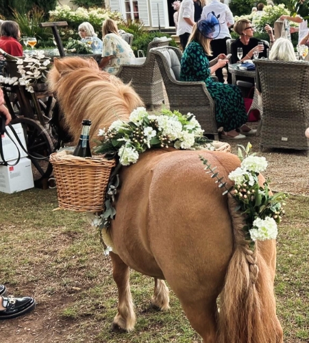 The Devon Champagne and Confetti Pony