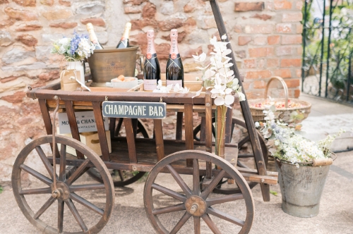 The Devon Champagne and Confetti Pony