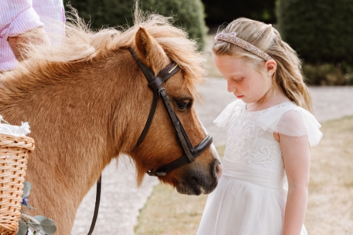 The Devon Champagne and Confetti Pony