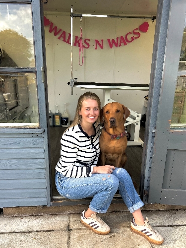 Walks n Wags Pet Services