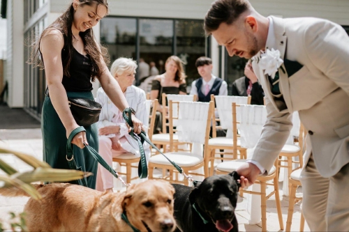 Hannah’s Wedding Dog Chaperone