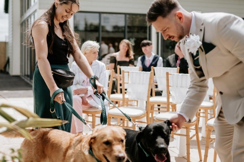 Hannah’s Wedding Dog Chaperone